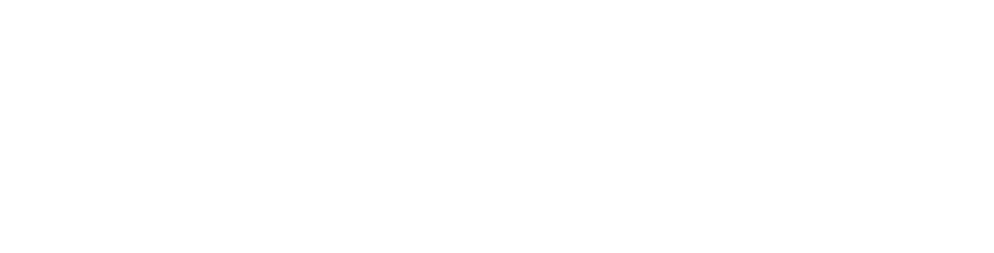 Logotipo da Bingresfit — Studio de Treinamento Funcional